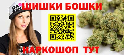 spice Бердск