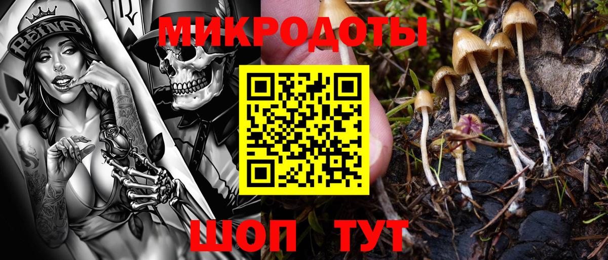 Псилоцибиновые грибы Magic Shrooms  Вход с VPN  Отрадное  Галлюциногенные грибы GOLDEN TEACHER 