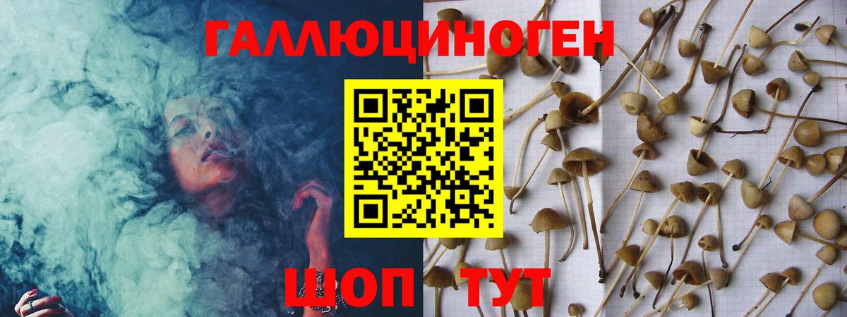 Псилоцибиновые грибы Cubensis Отрадное